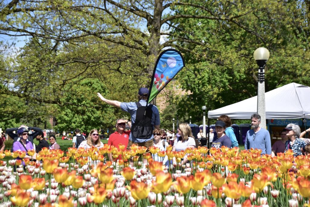 Events for May 12, 2025 Canadian Tulip Festival Tulip Festival 2025 Near Me Events